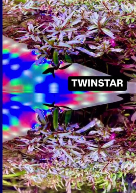 twinstar light 14030725 (10)